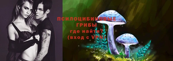 mdpv Козловка