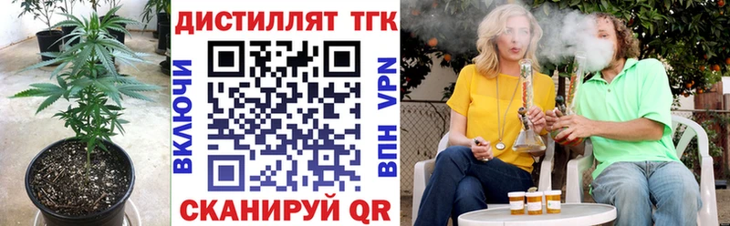 Купить закладки  Горно-Алтайск  ТГК вейп 